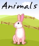 Animals