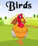 Birds