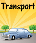 Transport