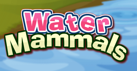 Water Mammals