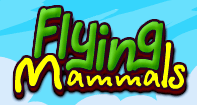 Flying Mammals