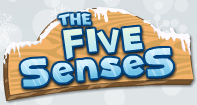 The Five Senses
