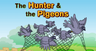 Comprehension - The Hunter and the Pigeons