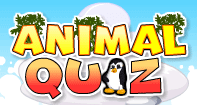 Animal Quiz