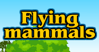 Flying family - Animals - Second Grade