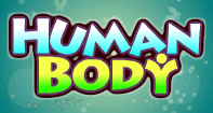 Human Body