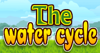 The Water Cycle