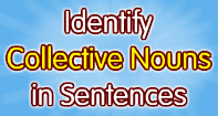 identify collective nouns in sentences - noun - third grade