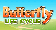 Butterfly Life Cycle - Animals - Kindergarten