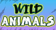 Wild Animals
