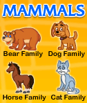 Mammals