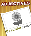 Adjectives