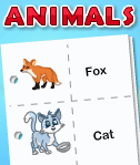 Animals