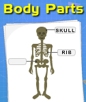 Body Parts