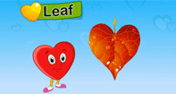 Learn Shape Heart