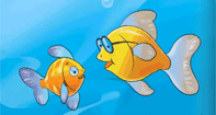 Little Fish