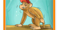 The Curious Monkey