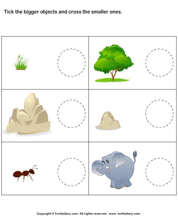 Describing Words Worksheet 6