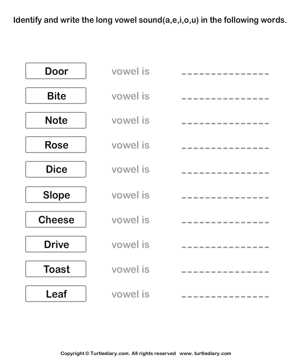 Long Vowels Worksheet10