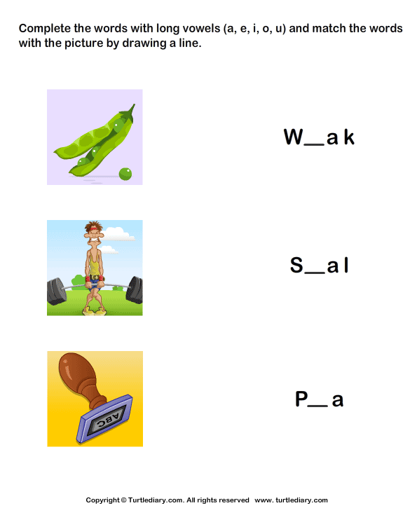 Long Vowels Worksheet18