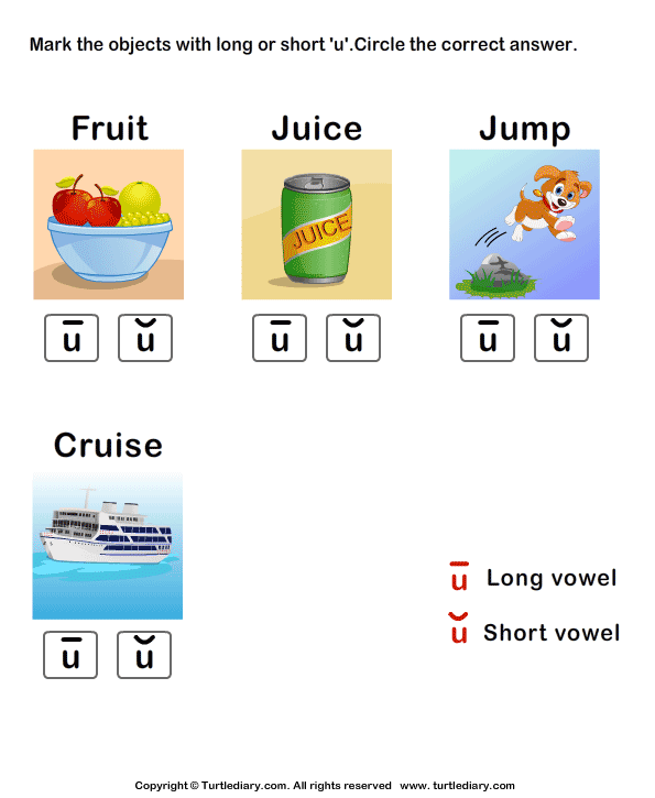 Long Vowels Worksheet26