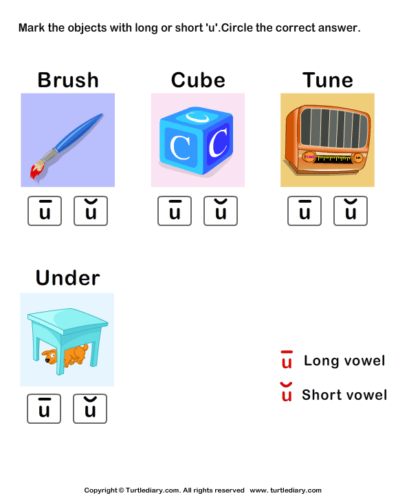 Long Vowels Worksheet27