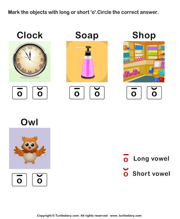 Long Vowels Worksheet29