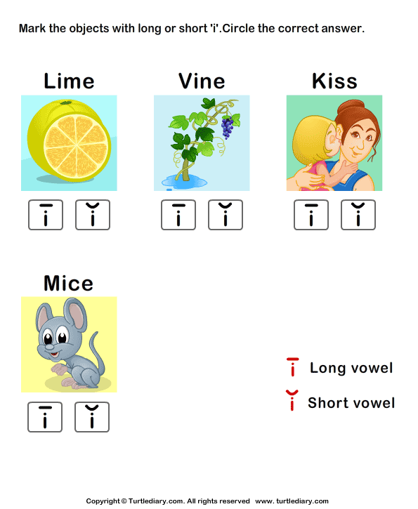 Long Vowels Worksheet30