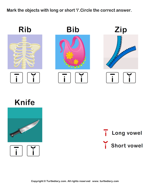 Long Vowels Worksheet31