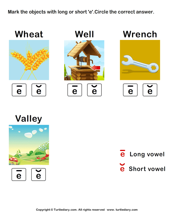 Long Vowels Worksheet32