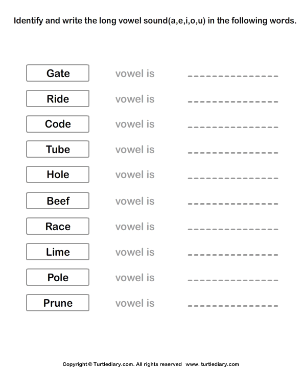 Long Vowels Worksheet6