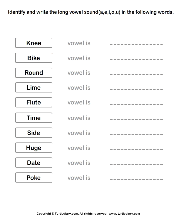 Long Vowels Worksheet7