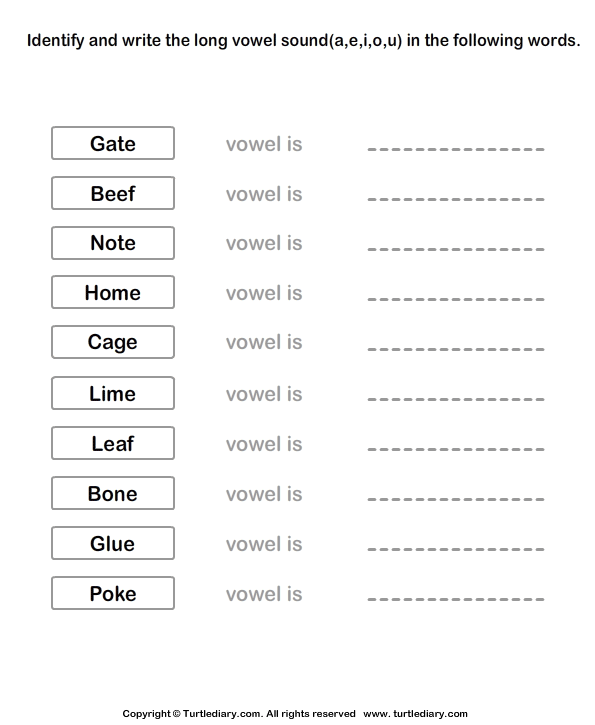 Long Vowels Worksheet8