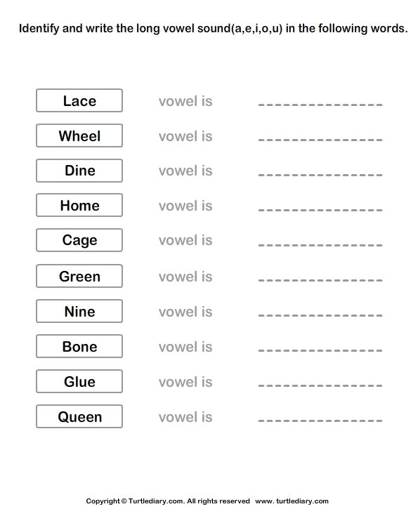 Long Vowels Worksheet9