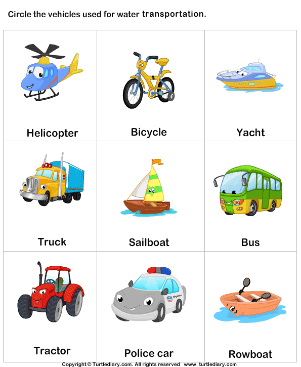 Transports Worksheet 12