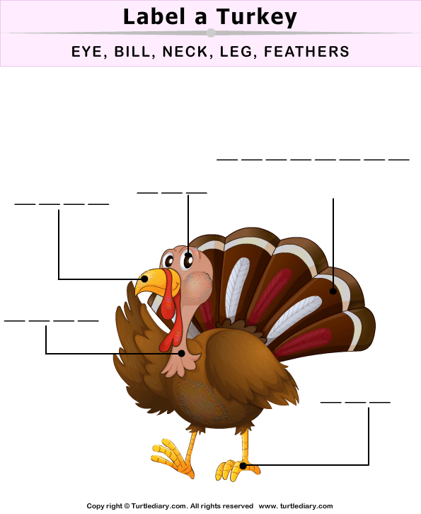Picture Labeling 6