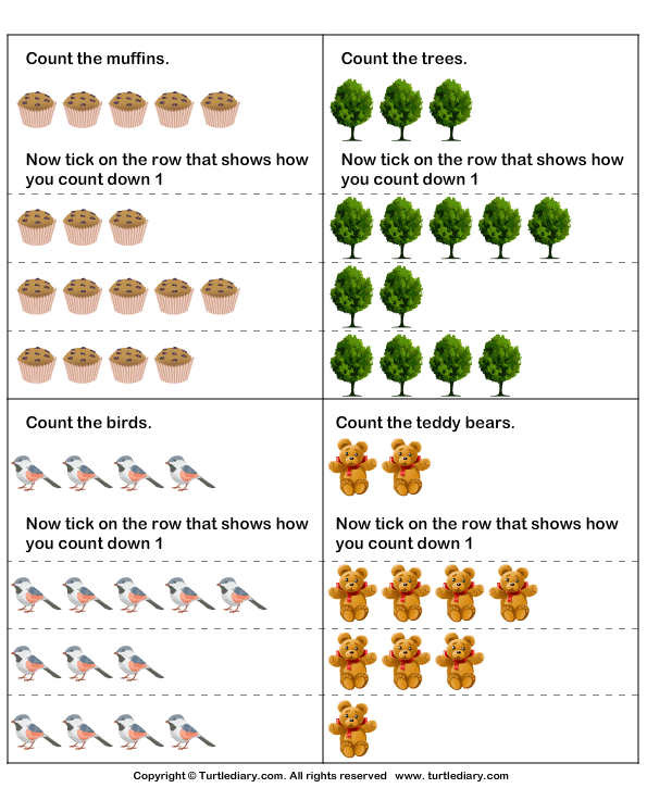 Count How Many Worksheet19