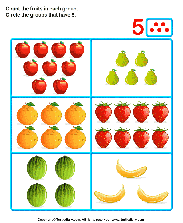 Count Five