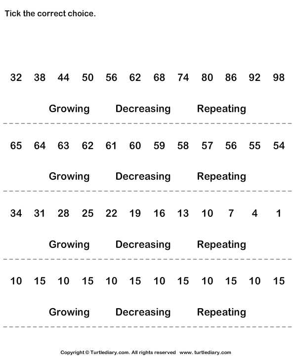 Number Sequence Worksheet 14