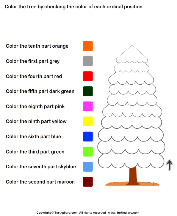 Ordinal Numbers Worksheet 15