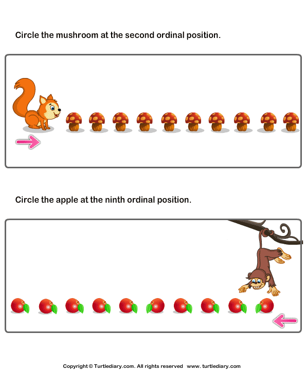 Ordinal Numbers Worksheet 17