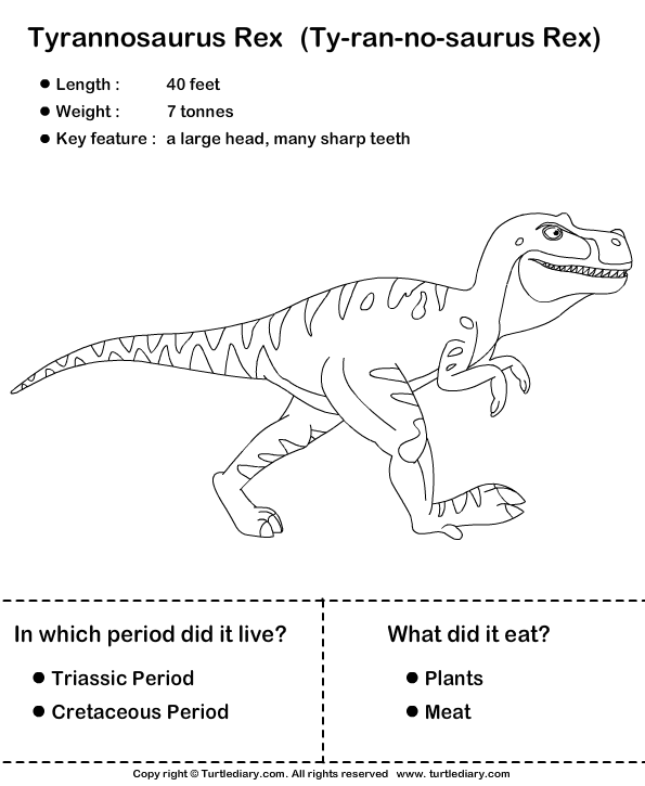 Dinosaur Worksheet10