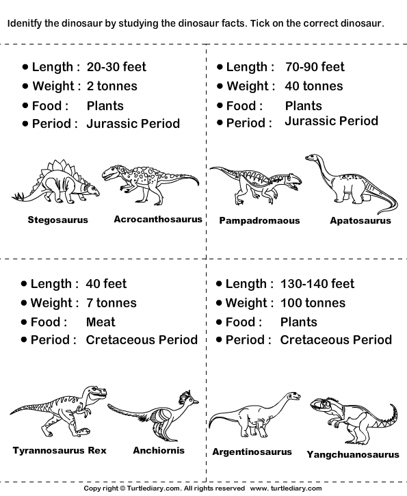 Dinosaur Worksheet11