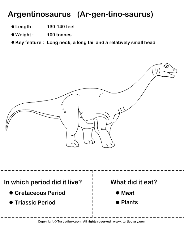 Dinosaur Worksheet3