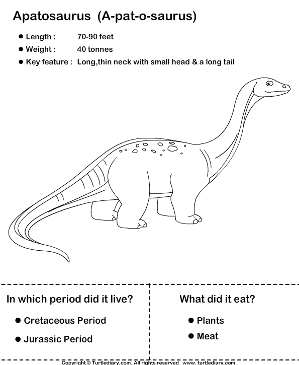 Dinosaur Worksheet5