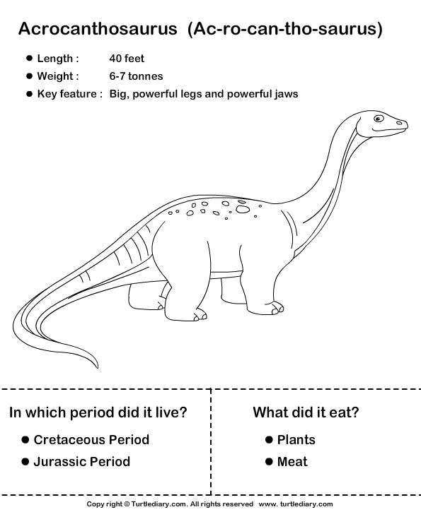 Dinosaur Worksheet6