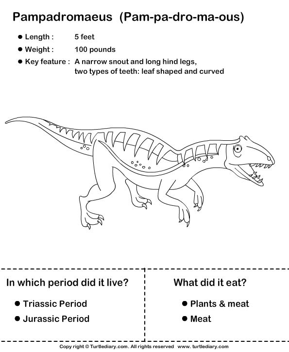 Dinosaur Worksheet7