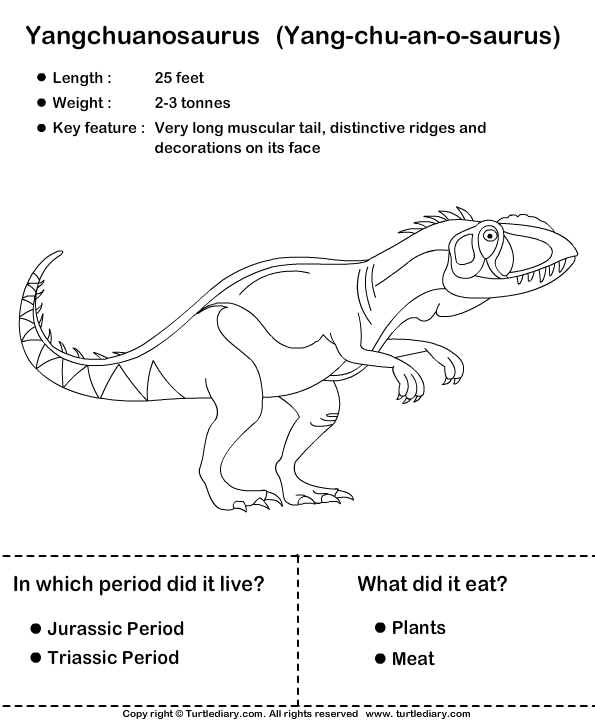 Dinosaur Worksheet8