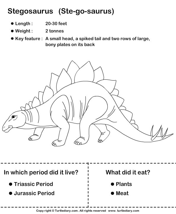 Dinosaur Worksheet9