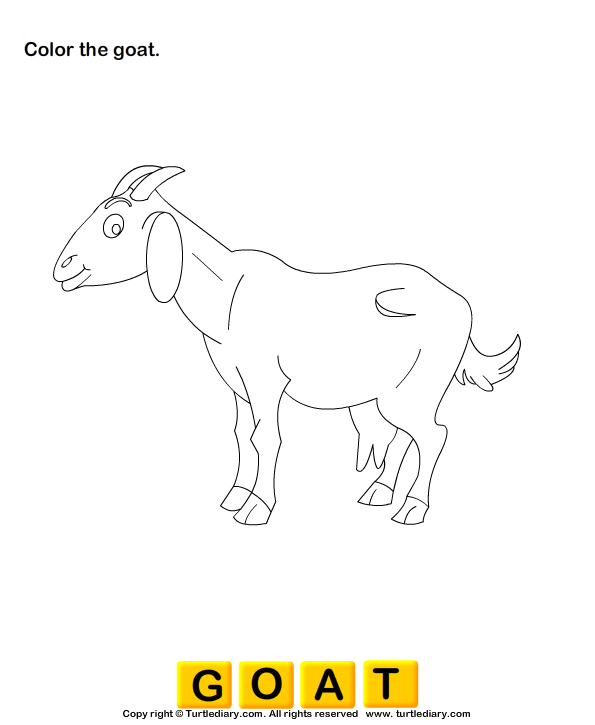 Farm Animals Worksheet9